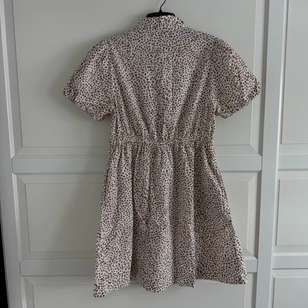 J. Crew Brown leopard animal Short Sleeve Collared Mini Dress 6 41858